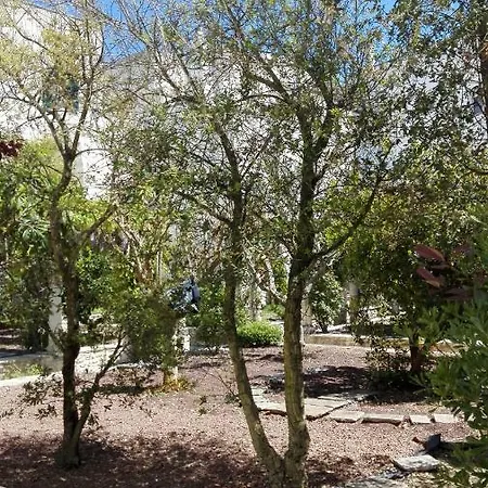 Casa Adele - Dimora Del 1700 Nel Centro Storico