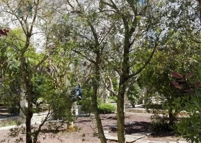 Bed and Breakfast Casa Adele - Dimora Del 1700 Nel Centro Storico Μαρτίνα Φράνκα