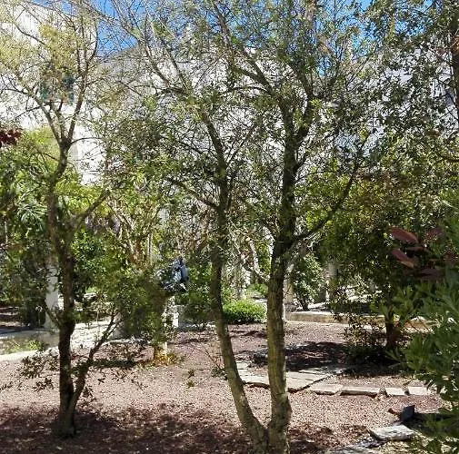 Casa Adele - Dimora Del 1700 Nel Centro Storico